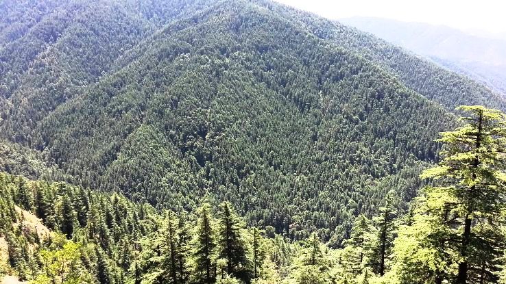 8. Green Valley
